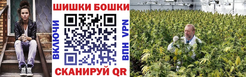 Где найти наркотики Кировград А ПВП  COCAIN  ГАШ  Канабис 