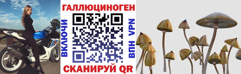 хочу   Кировград  Галлюциногенные грибы Psilocybine cubensis 
